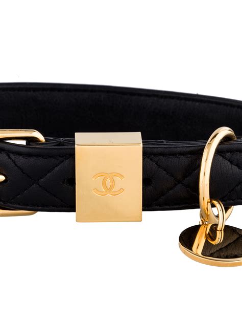 chanel collar shirt|designer dog collars chanel.